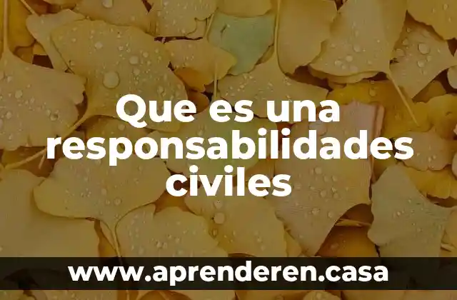 Que es una responsabilidades civiles