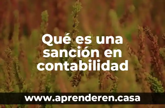 Qué es una sanción en contabilidad