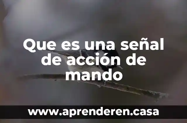 Que es una señal de acción de mando