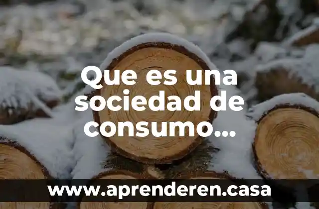 Que es una sociedad de consumo definicion