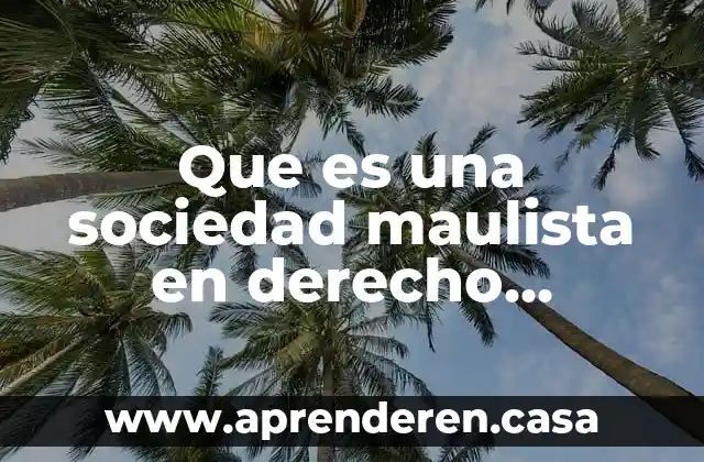 Qué es hecho punible en derecho 3 Que es una sociedad maulista en derecho mercantil