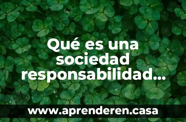 Responsabilidad civil extracontractual que es 3 Qué es una sociedad responsabilidad civil