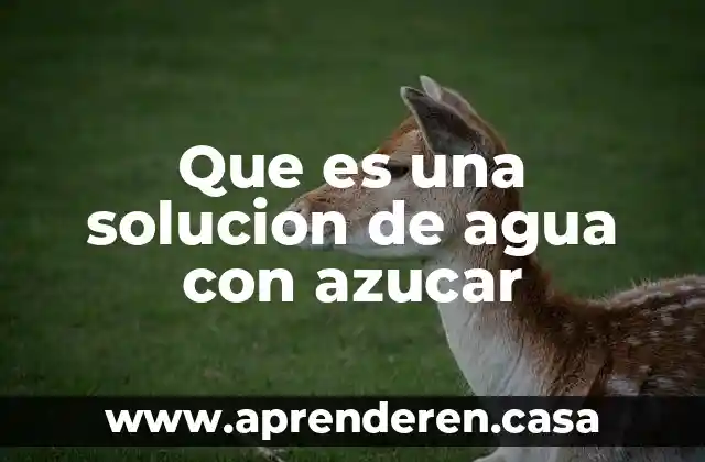 Que es una solucion de agua con azucar