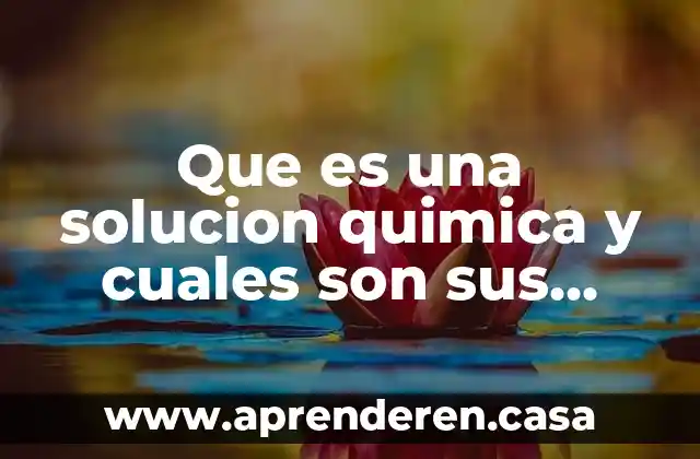 Qué es un banner y cuáles son los tamaños principales 3 Que es una solucion quimica y cuales son sus partes
