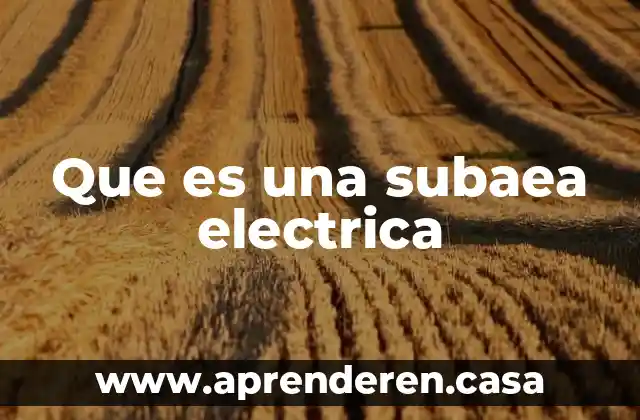 Qué es una calavera eléctrica 8 Que es una subaea electrica