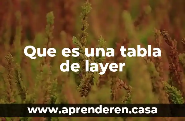 Que es una tabla de layer