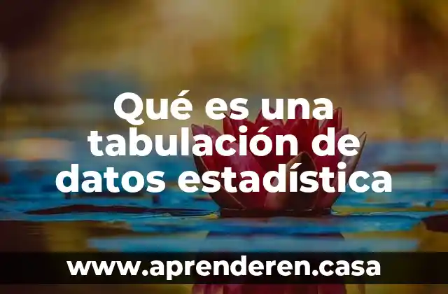 Qué es la tabulación ejemplos 8 Qué es una tabulación de datos estadística