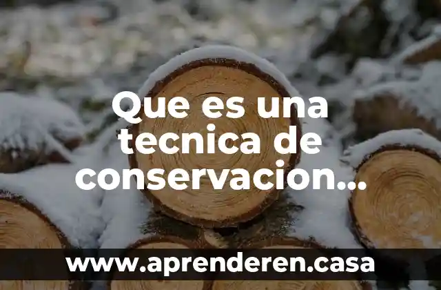 Que es una tecnica de conservacion definicion