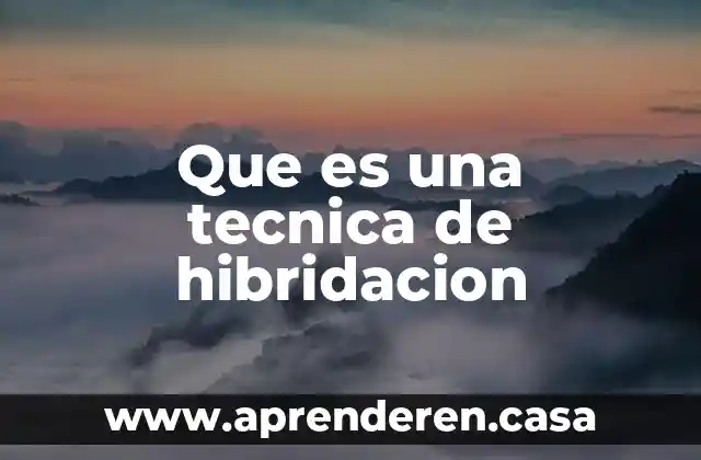 Que es una tecnica de hibridacion