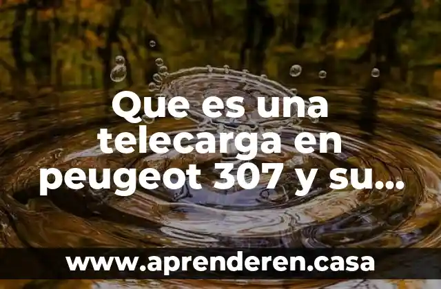 Que es un costo y para que sirve 6 Que es una telecarga en peugeot 307 y su costo