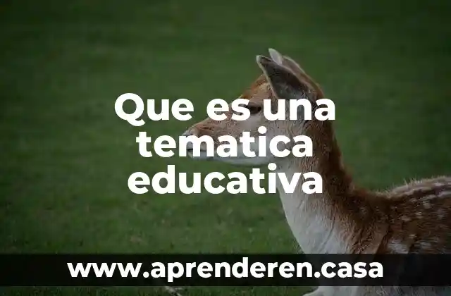 Que es la ingenieria educativa 8 Que es una tematica educativa