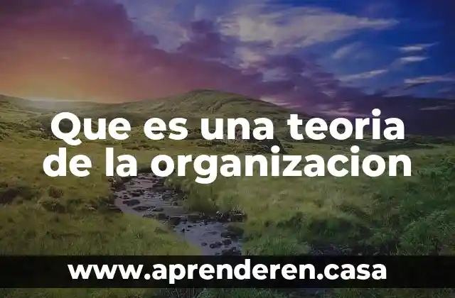 Que es una teoria de la organizacion