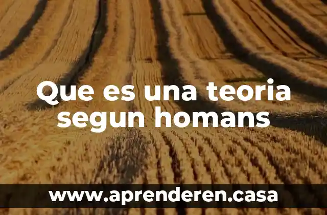 Que es una teoria segun homans