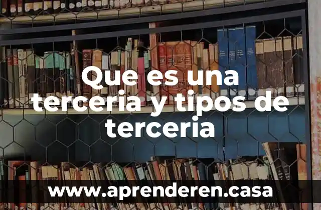 Que es una terceria y tipos de terceria