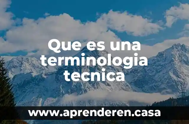 Qué es la terminología y conceptos básicos 3 Que es una terminologia tecnica