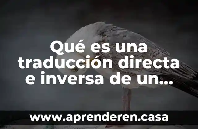 Carga inalámbrica inversa que es 5 Qué es una traducción directa e inversa de un instrumento