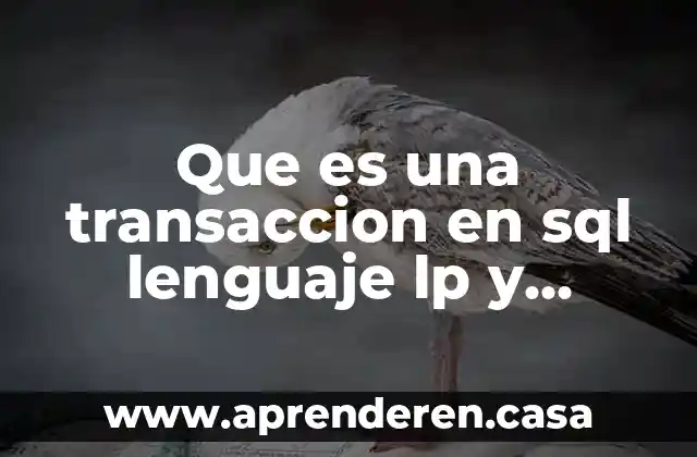 Que es una transaccion en sql lenguaje lp y sintaxis