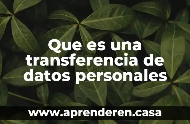Que es una transferencia de datos personales