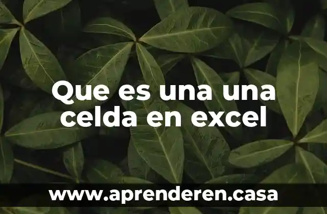 Que es una una celda en excel