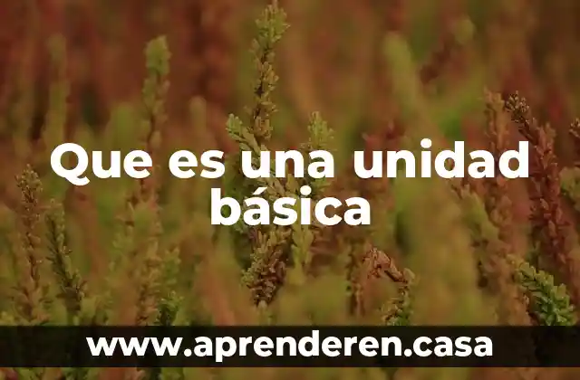 Que es una unidad básica