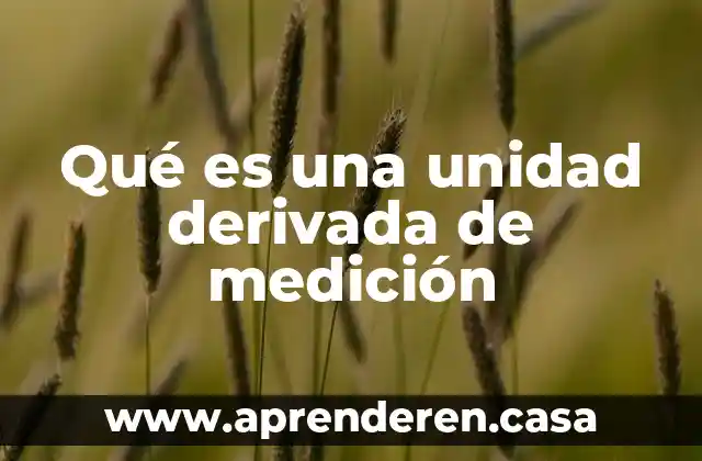 P m.g que es cda unidad 3 Qu茅 es una unidad derivada de medici贸n
