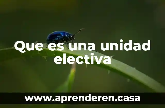 Que es el programa academica en el cet 1ipn 3 Que es una unidad electiva