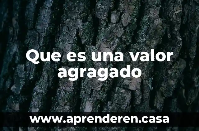 Que es una valor agragado