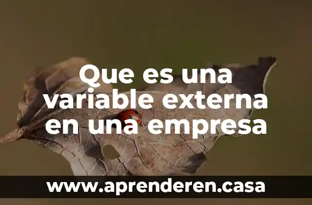 Que es una variable externa en una empresa