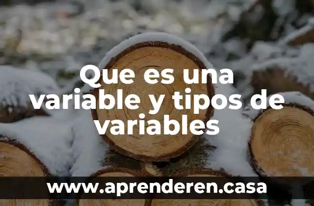 Que es una variable y tipos de variables