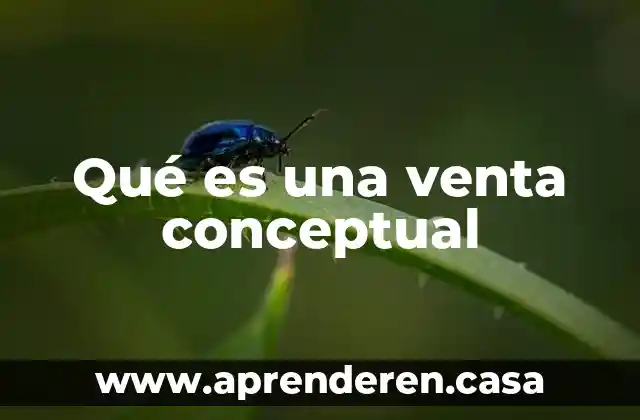 Qué es una venta conceptual