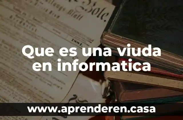 Que es una viuda en informatica
