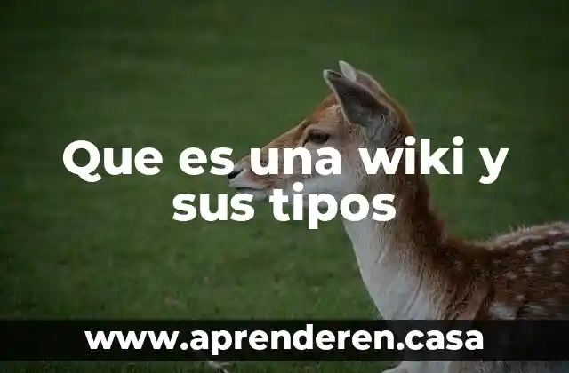 Que es una wiki y sus tipos
