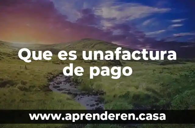 Qué es un formulario múltiple de pago 7 Que es unafactura de pago