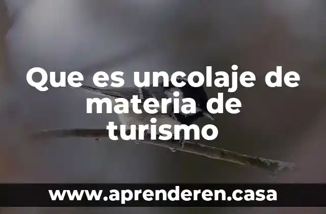 Que es un organismo acreditadores en turismo 3 Que es uncolaje de materia de turismo