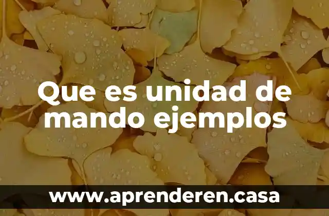 P m.g que es cda unidad 7 Que es unidad de mando ejemplos