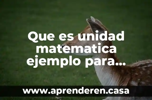 Que es unidad matematica ejemplo para niños