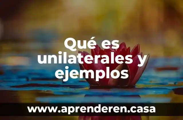 Qué es un dieléctrico y ejemplos 7 Qué es unilaterales y ejemplos