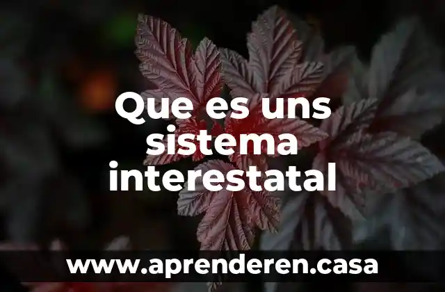 Que es uns sistema interestatal