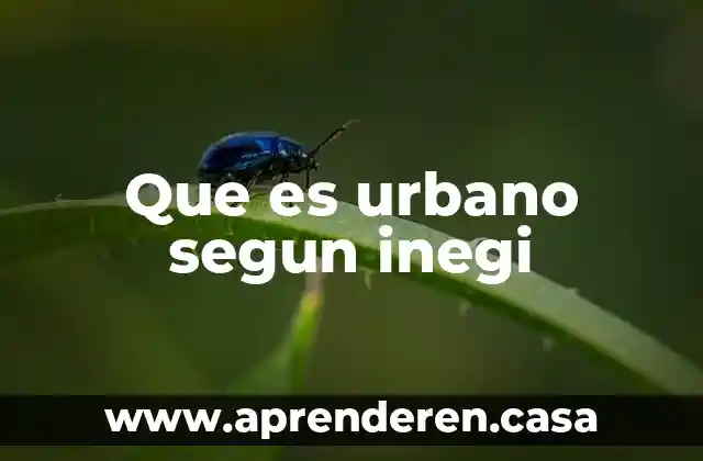 Que es urbano segun inegi