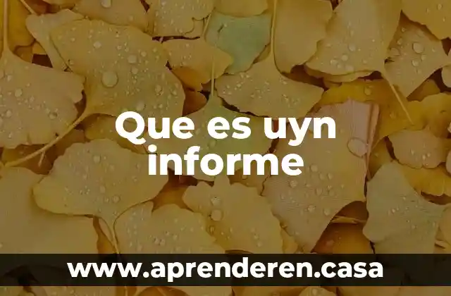 Que es uyn informe
