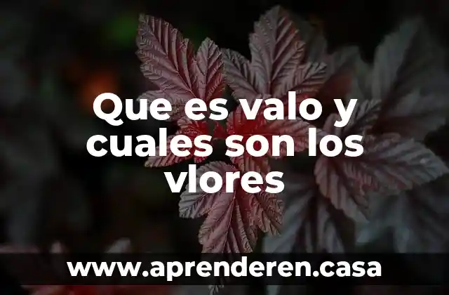 Que es valo y cuales son los vlores