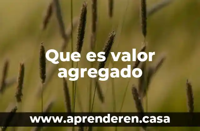 Que es valor agregado