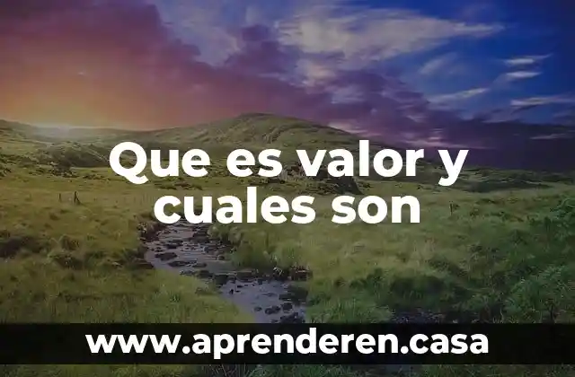 Que es valor y cuales son