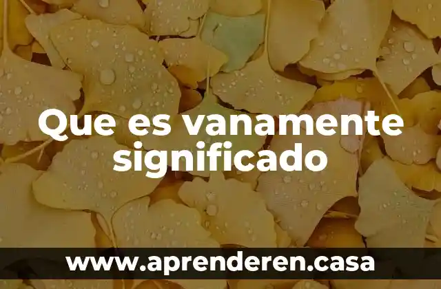 Que es vanamente significado