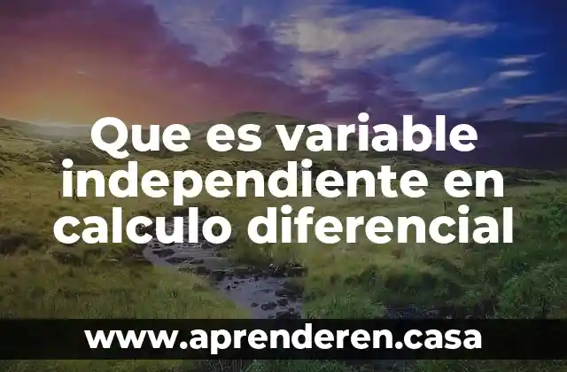Que es variable independiente en calculo diferencial