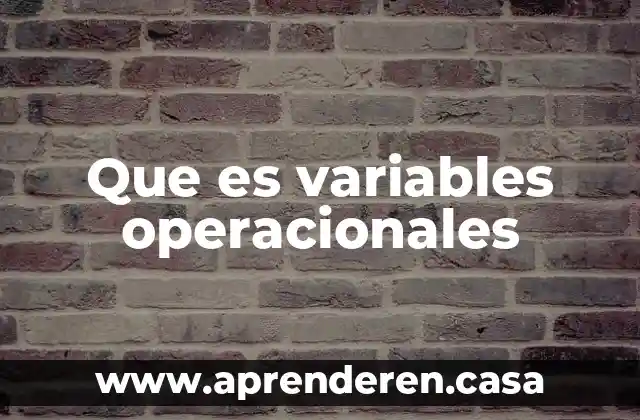 Que es variables operacionales