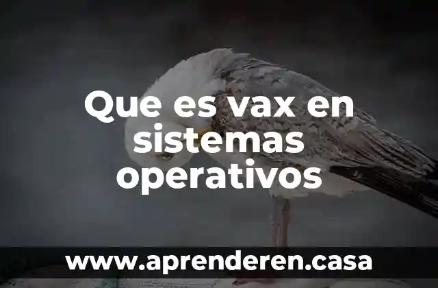 Que es vax en sistemas operativos