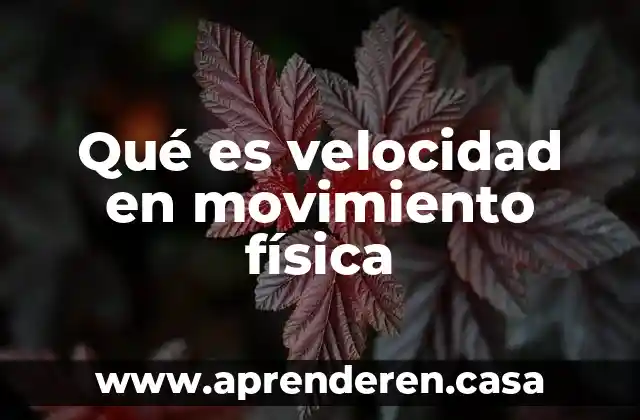 Qué es velocidad en movimiento física