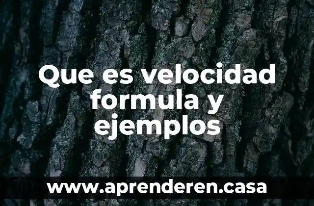 Que es velocidad formula y ejemplos
