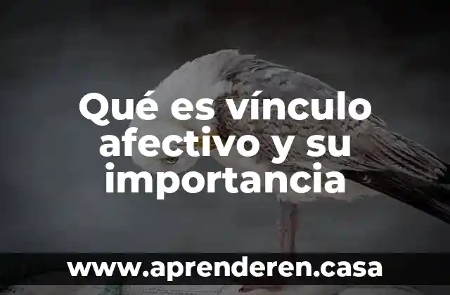 Qué es vínculo afectivo y su importancia